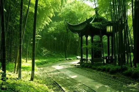 夏木垂阴