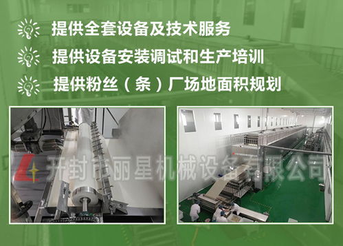 加工红薯粉条设备丽星公司 丽星机械 在线咨询
